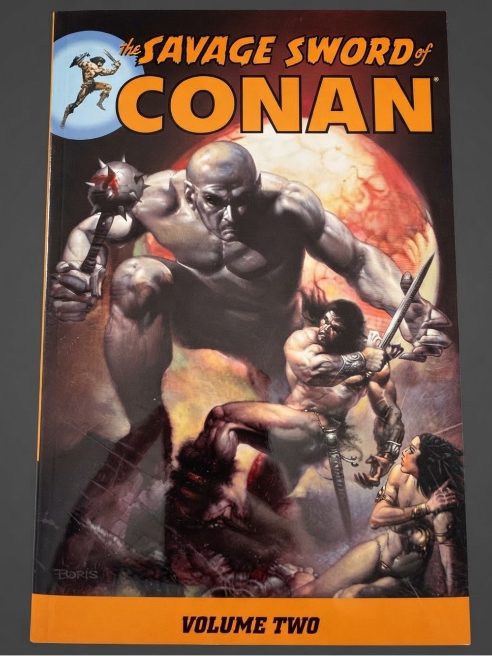 The Savage Sword of Conan Volume Two Dark Horse Graphic Novel